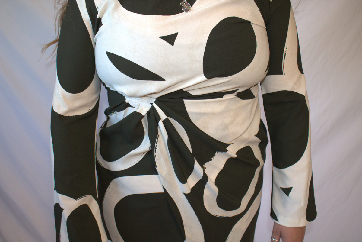 The Mod Muse Dress- Zara